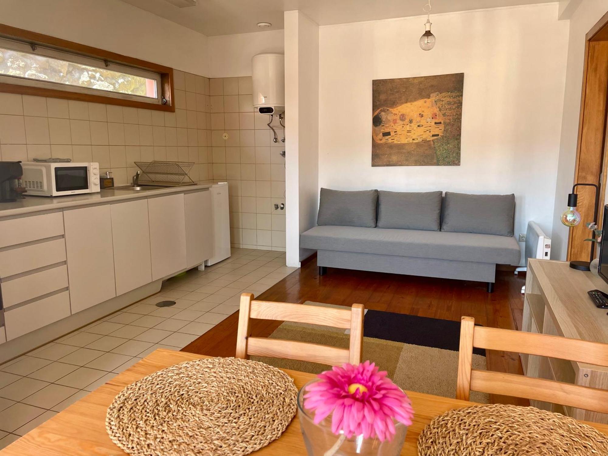 Douro River Charming Flats OOporto Esterno foto